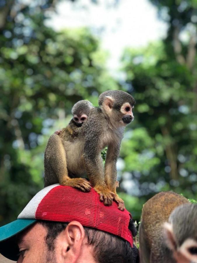 Yurupary Amazonas